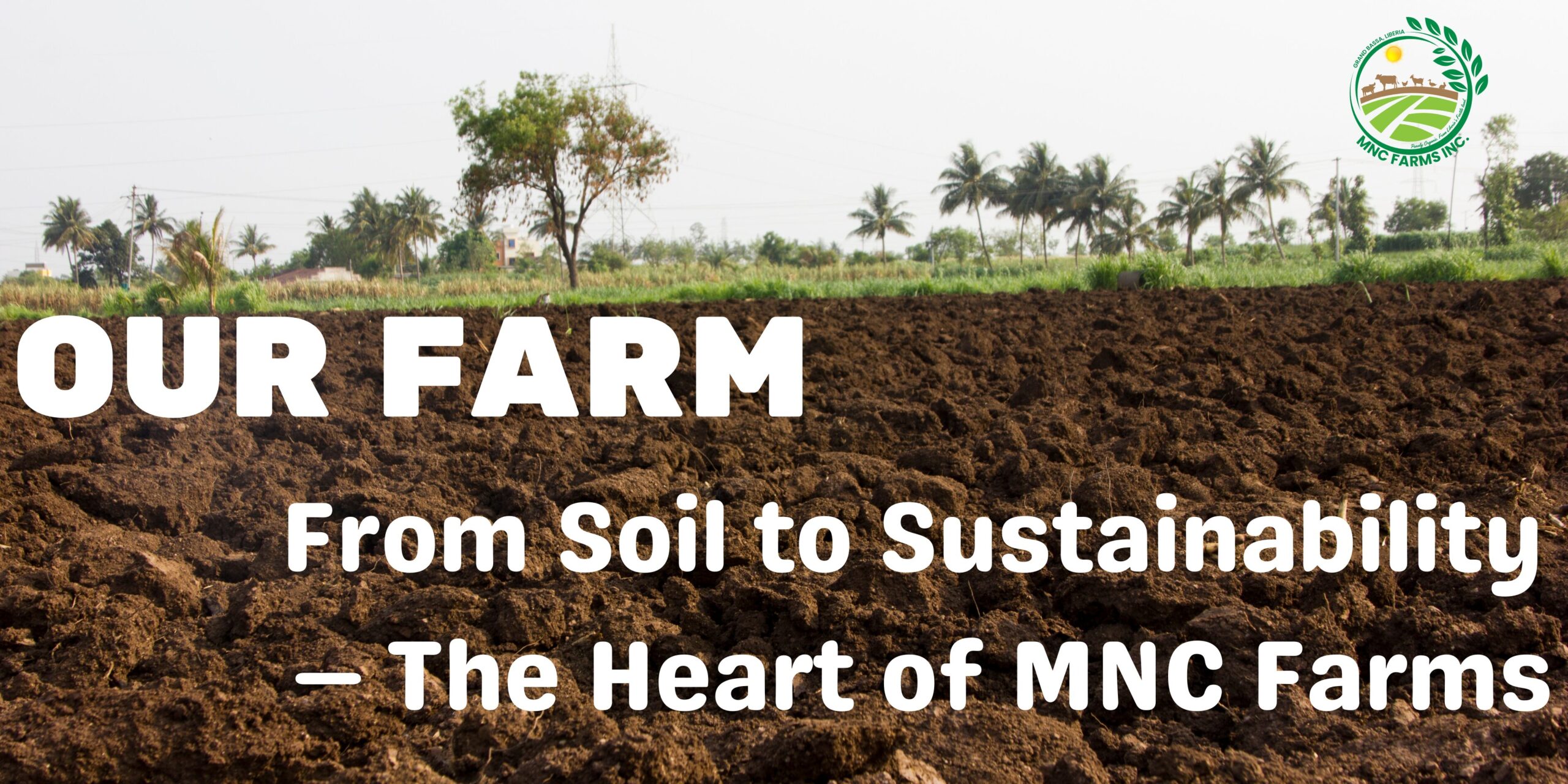 From Soil to Sustainability — The Heart of MNC Farms